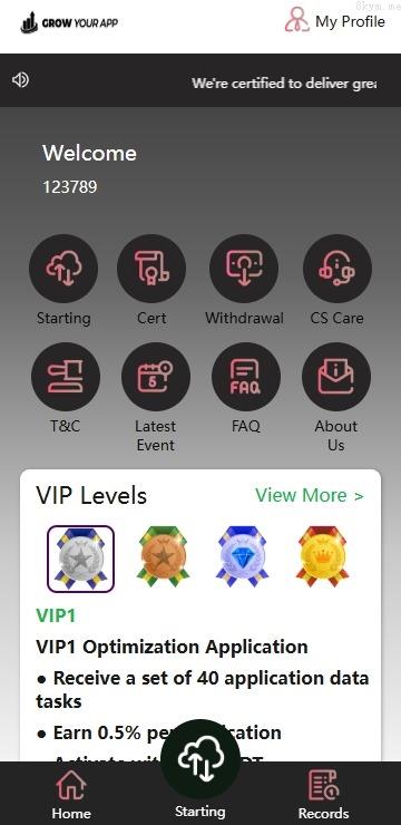 海外抢单刷单系统/模式分组派单/前端uniapp