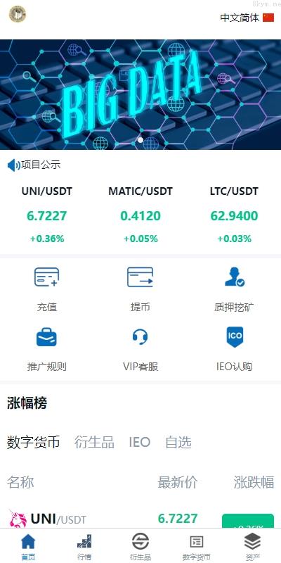 虚拟币外汇交易 全新多语言 交易所系统 期权合约交易 VUE PHP